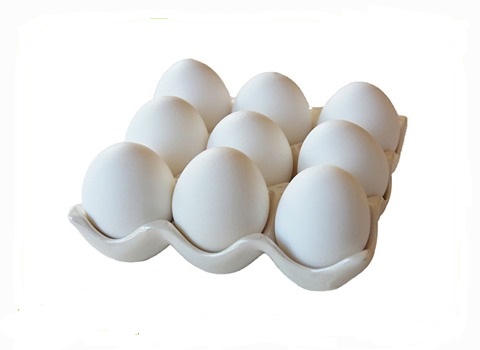 تصویر 3 از قیمت تخم مرغ محلی سفید + خرید باور نکردنی